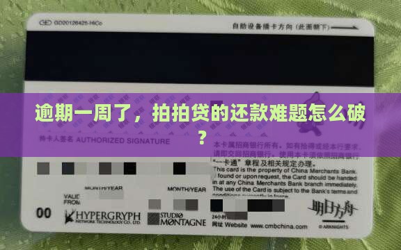 拍拍贷逾期了一周怎么办还款方案