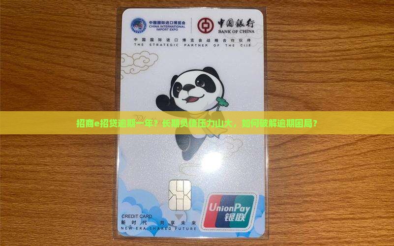 招商e招贷逾期一年
