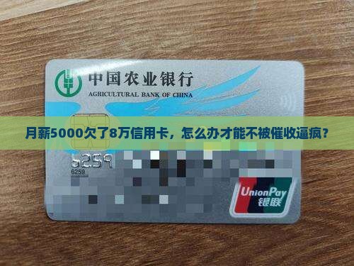 欠信用卡8万还不起的后果