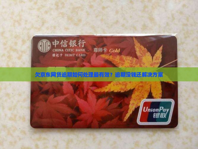 欠京东网贷逾期如何处理