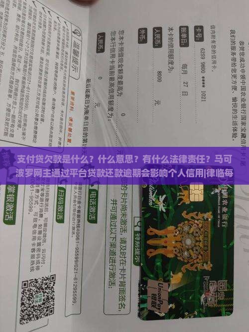 支付贷欠款是什么