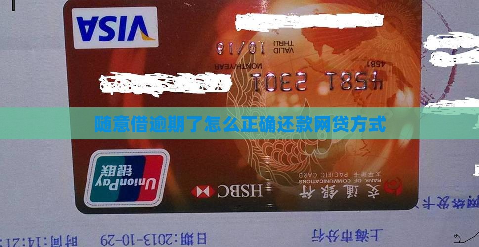 随意借逾期了怎么还款