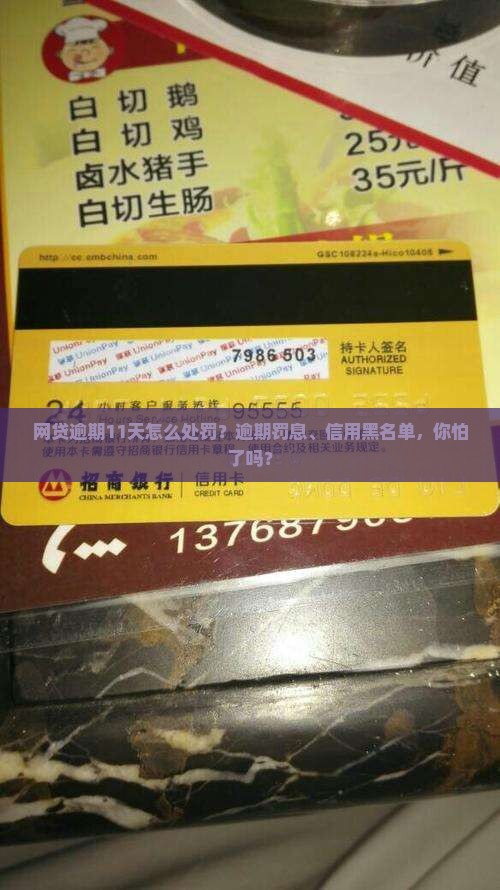 网贷逾期11天怎么处罚