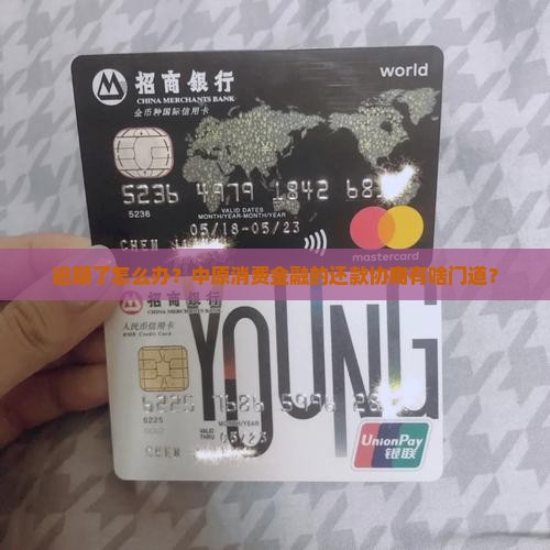 中原消费金融逾期了怎么协商还款方案