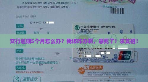 交通银行逾期5个月有什么后果
