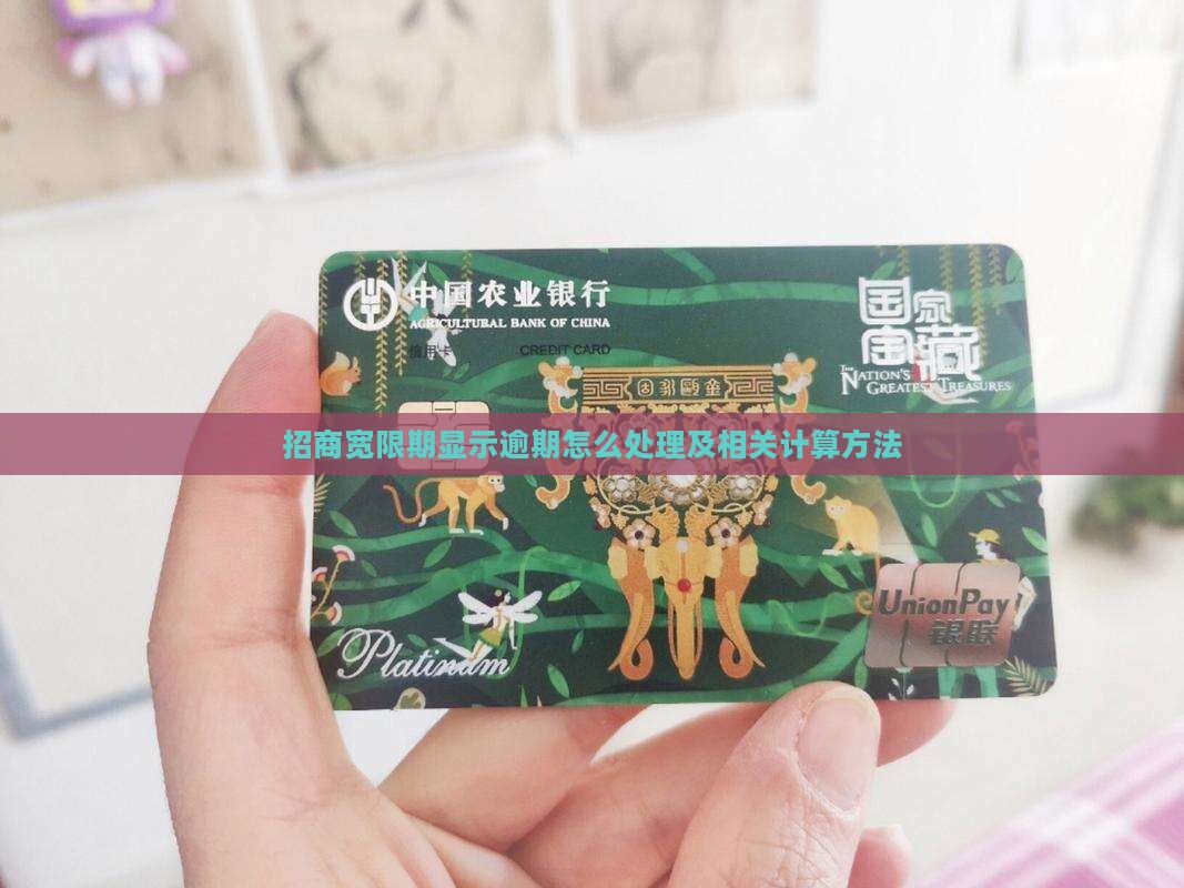 招商宽限期显示逾期怎么处理