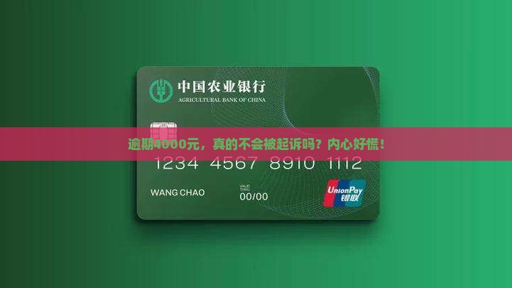 放心借逾期4000不会被起诉吗