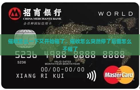 催收怎么一下又开始催了