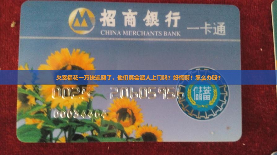 幸福花逾期一万会上门催款吗