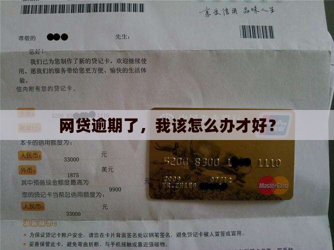 网贷有逾期怎么办