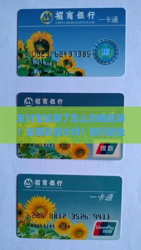 支付宝逾期如何谈支付宝延期