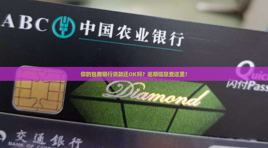 包商银行逾期信息查询方法