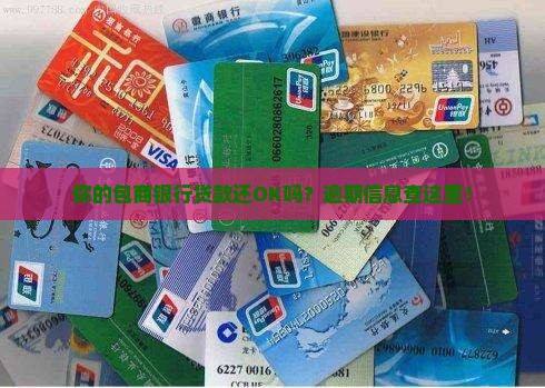包商银行逾期信息查询方法
