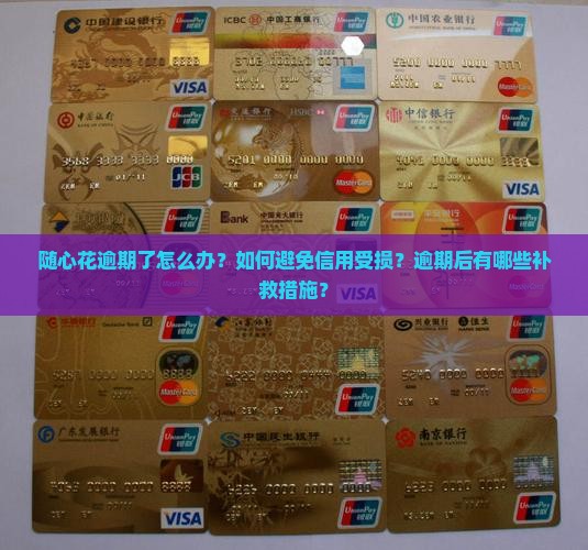 随心花逾期了怎么办
