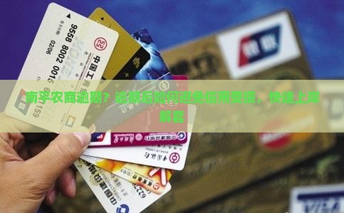 南平农商逾期
