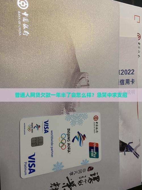 网贷欠款一年半会怎么处理