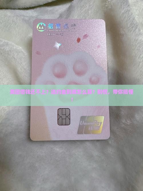 美团借款违约金怎么算的