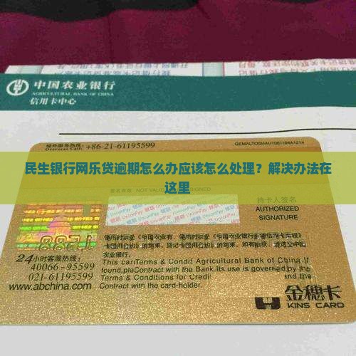 民生银行网乐贷逾期怎么办应该怎么处理