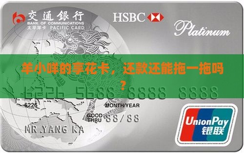 羊小咩享花卡可以延期还款吗