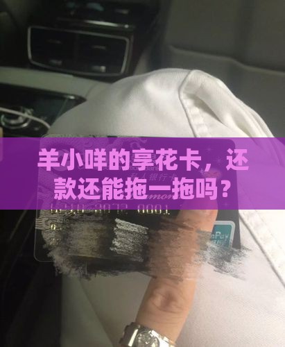 羊小咩享花卡可以延期还款吗