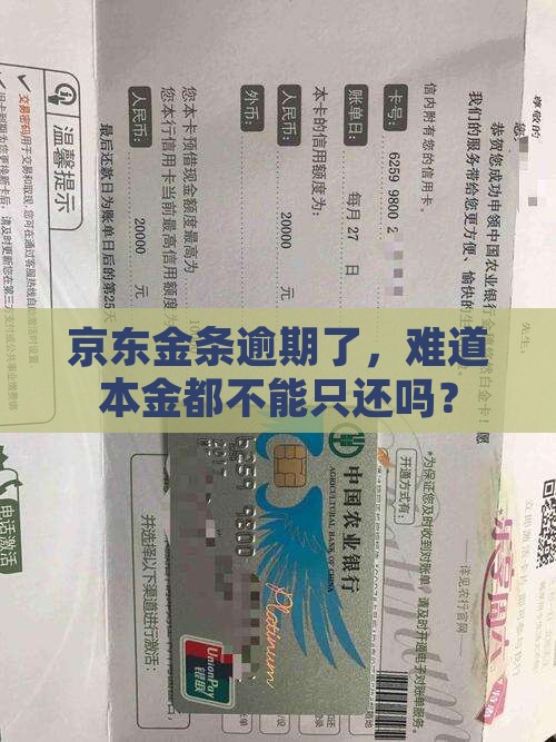 京东金条逾期能只还本金吗