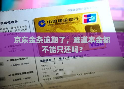 京东金条逾期能只还本金吗