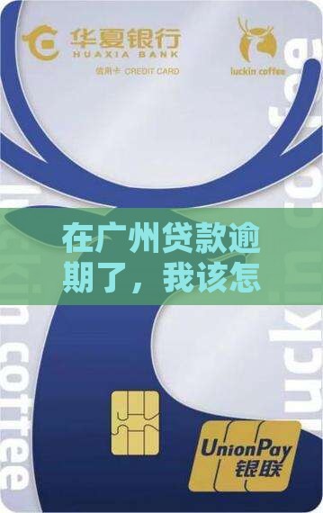 广州贷款逾期怎么办理手续