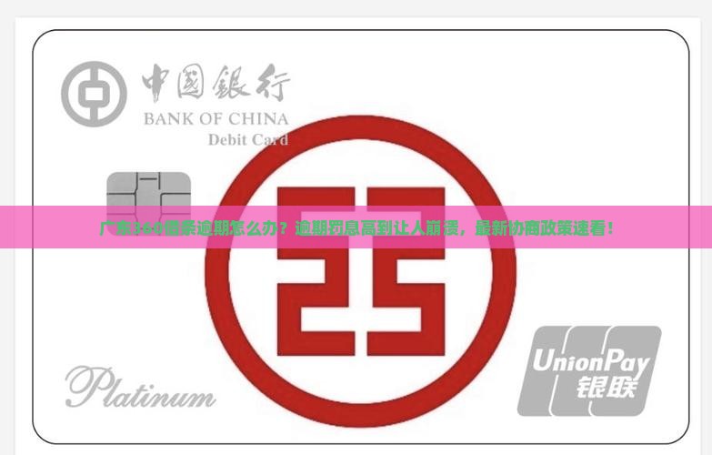 广东360借条逾期如何处理