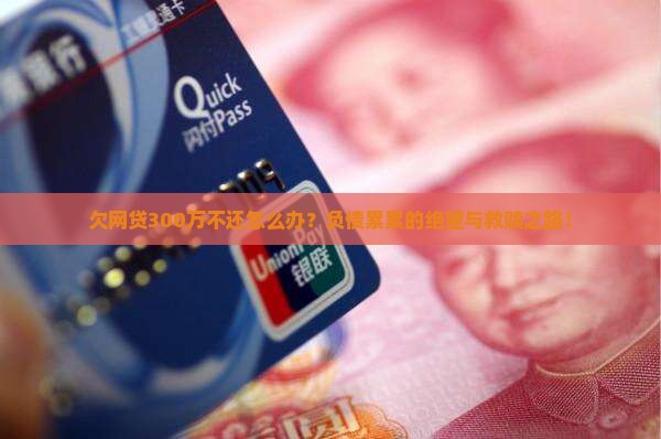 欠网贷300万不还怎么办应对方法