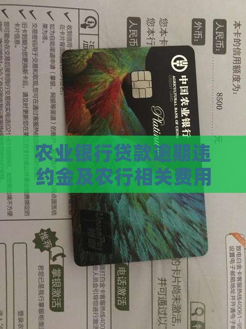 农行税贷逾期违约金