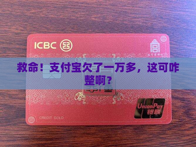 支付宝欠款1万多如何处理 支付宝欠款1万多如何处理
