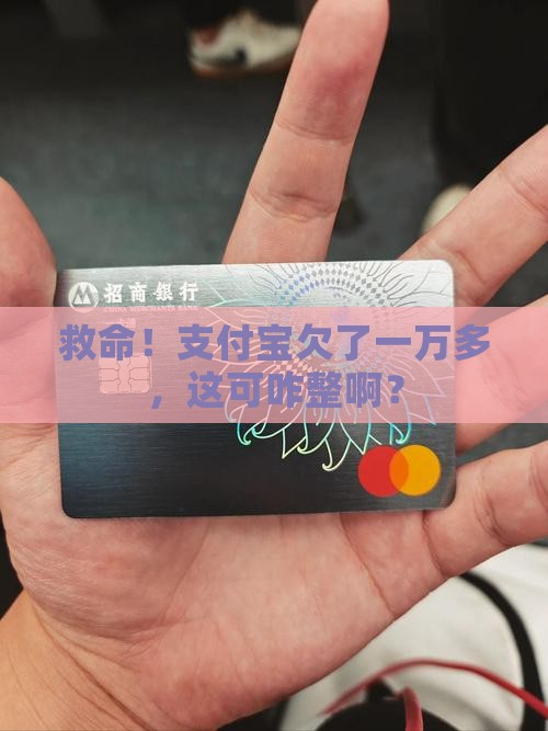 支付宝欠款1万多如何处理 支付宝欠款1万多如何处理