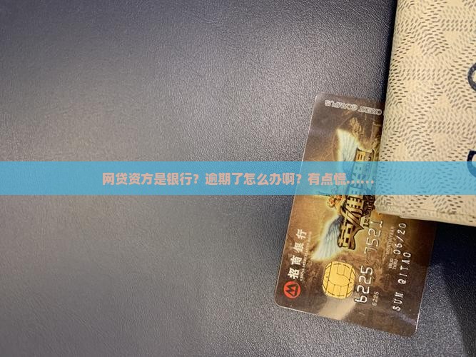 网贷资方是银行逾期怎么办