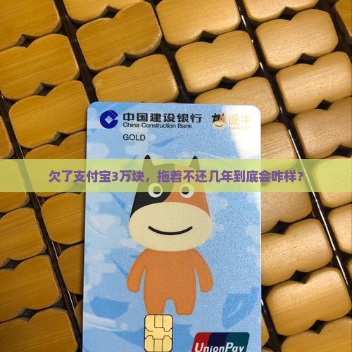 欠支付宝3万几年不还会有什么后果