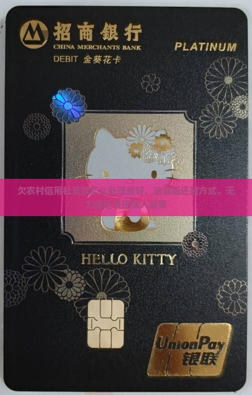 欠农村信用社贷款怎么处理