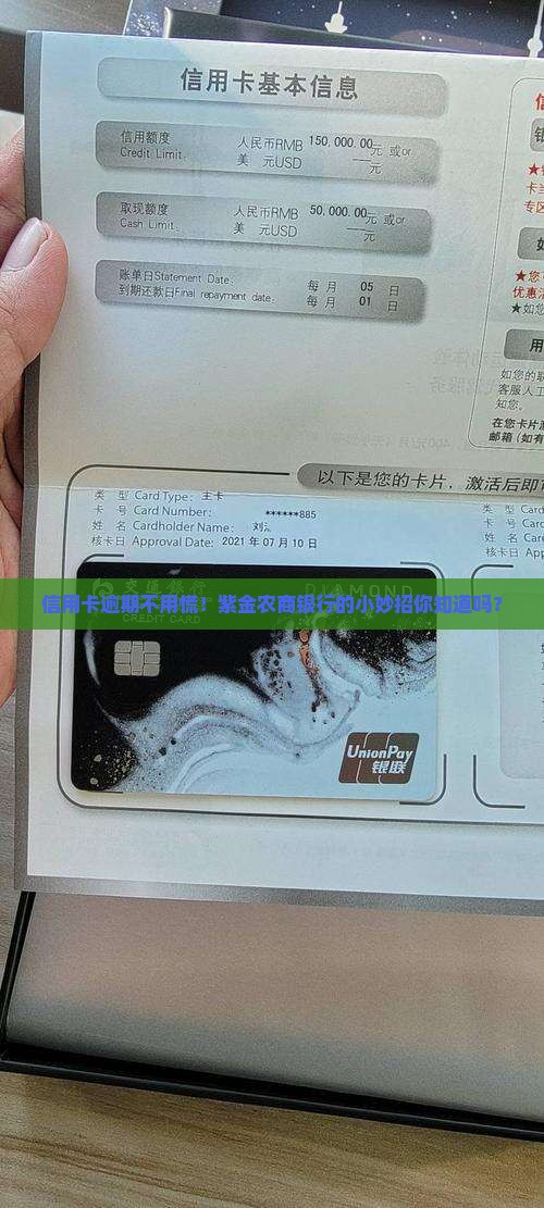 紫金农商信用卡逾期微调解的方法有哪些