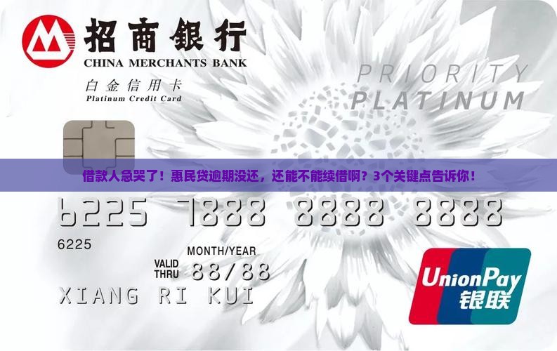 惠民贷逾期没有还款能不能续借