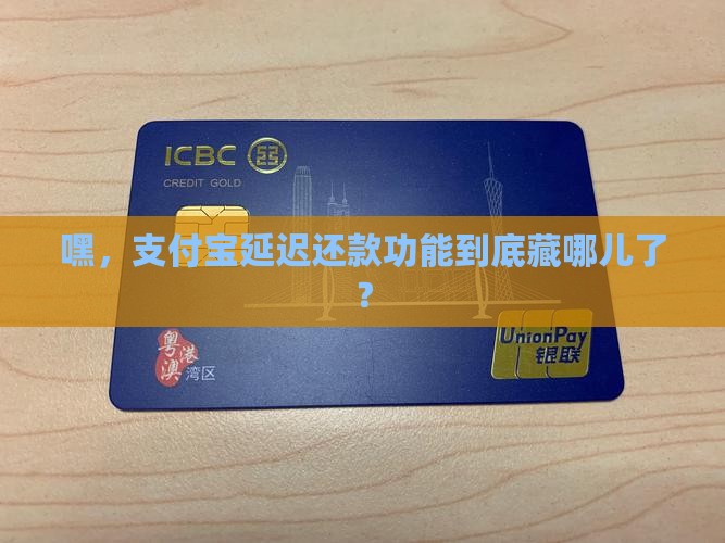 支付宝的延迟还款在哪里开 支付宝的延迟还款在哪里开