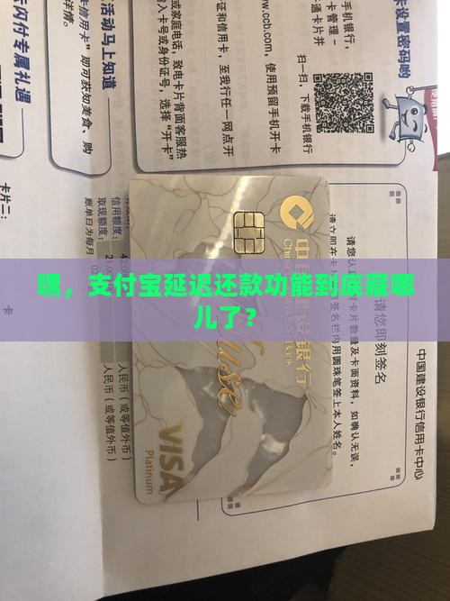 支付宝的延迟还款在哪里开 支付宝的延迟还款在哪里开