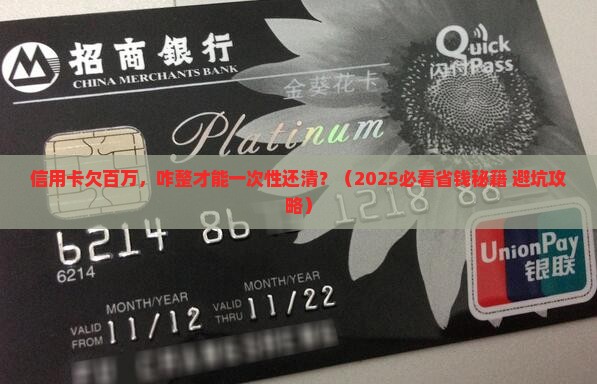 信用卡一共欠100万怎么办还清