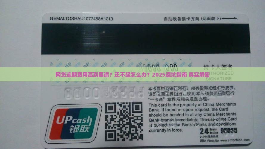 网贷逾期费用高还不起
