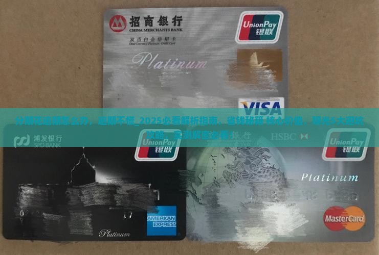 分期花逾期怎么办 分期花逾期怎么办