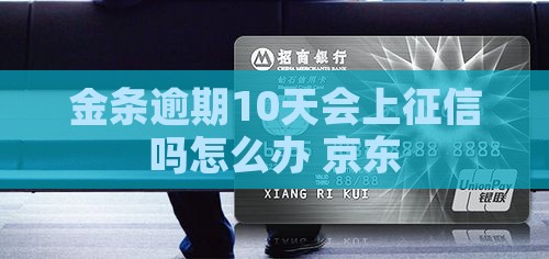 金条逾期10天会上征信吗怎么办