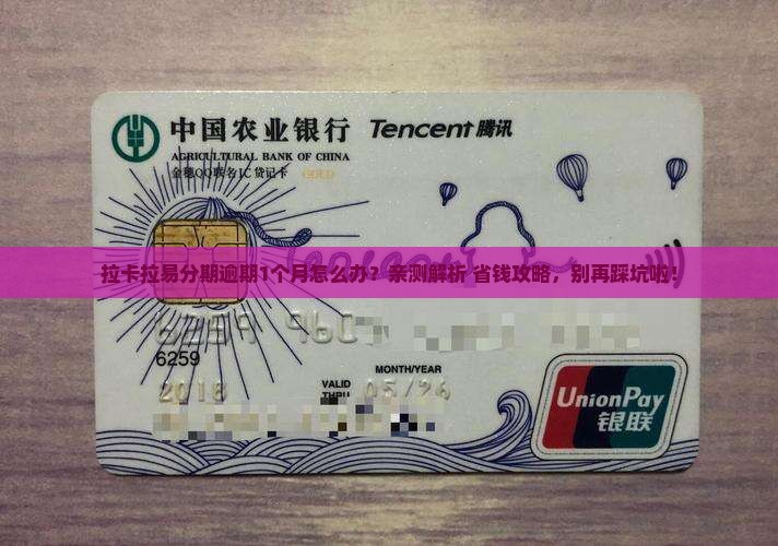 拉卡拉易分期逾期1个月怎么处理