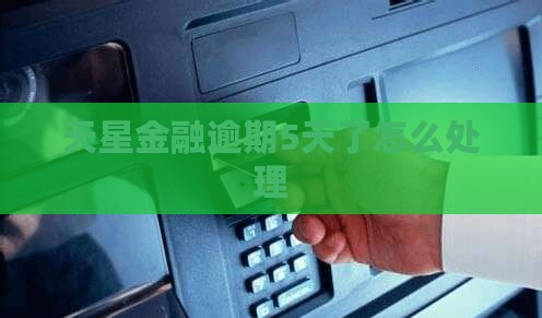 天星金融逾期5天了怎么处理
