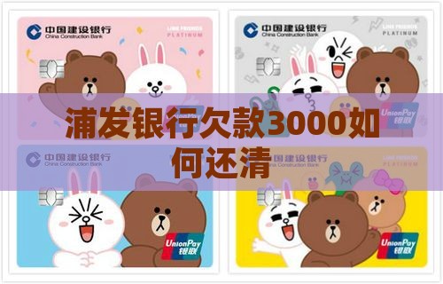 浦发银行欠款3000如何还清