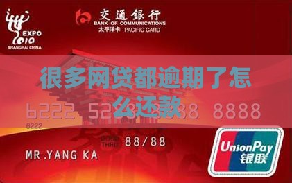 很多网贷都逾期了怎么还款