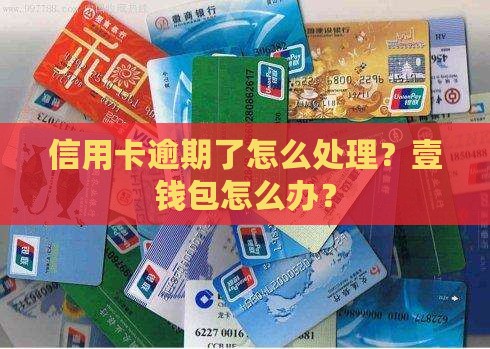 壹钱包信用卡逾期了怎么办