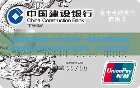 洋钱罐借款逾期3个月会怎么样
