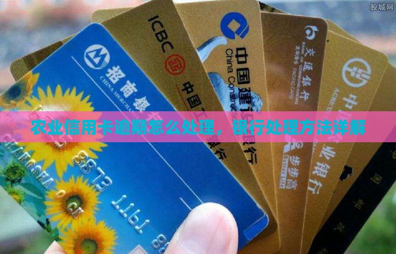 农业信用卡逾期处理方法详解